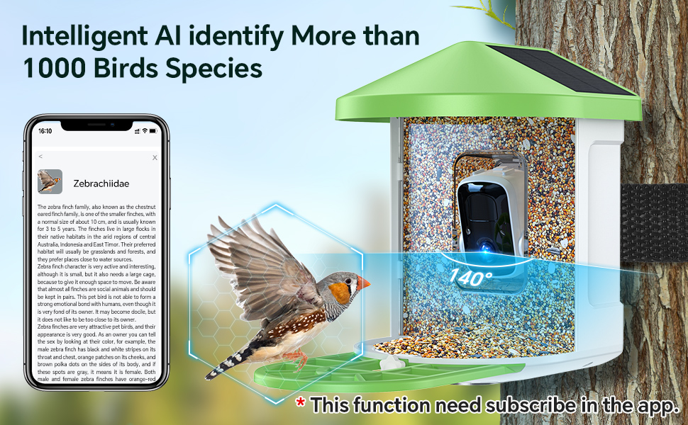 smart AI identify bird feeder camera