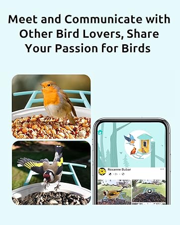 birdfy bird feeders