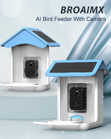 bird feeder with camera