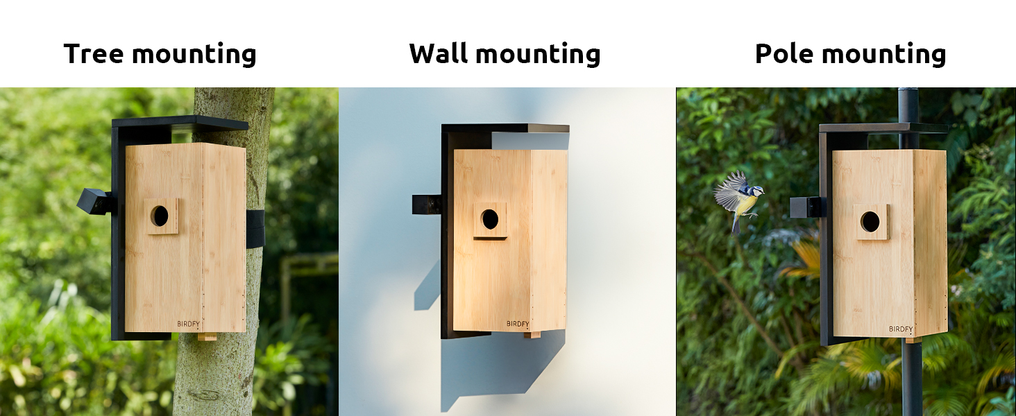 Birdfy Nest- Smart Bird House with Dual Cameras