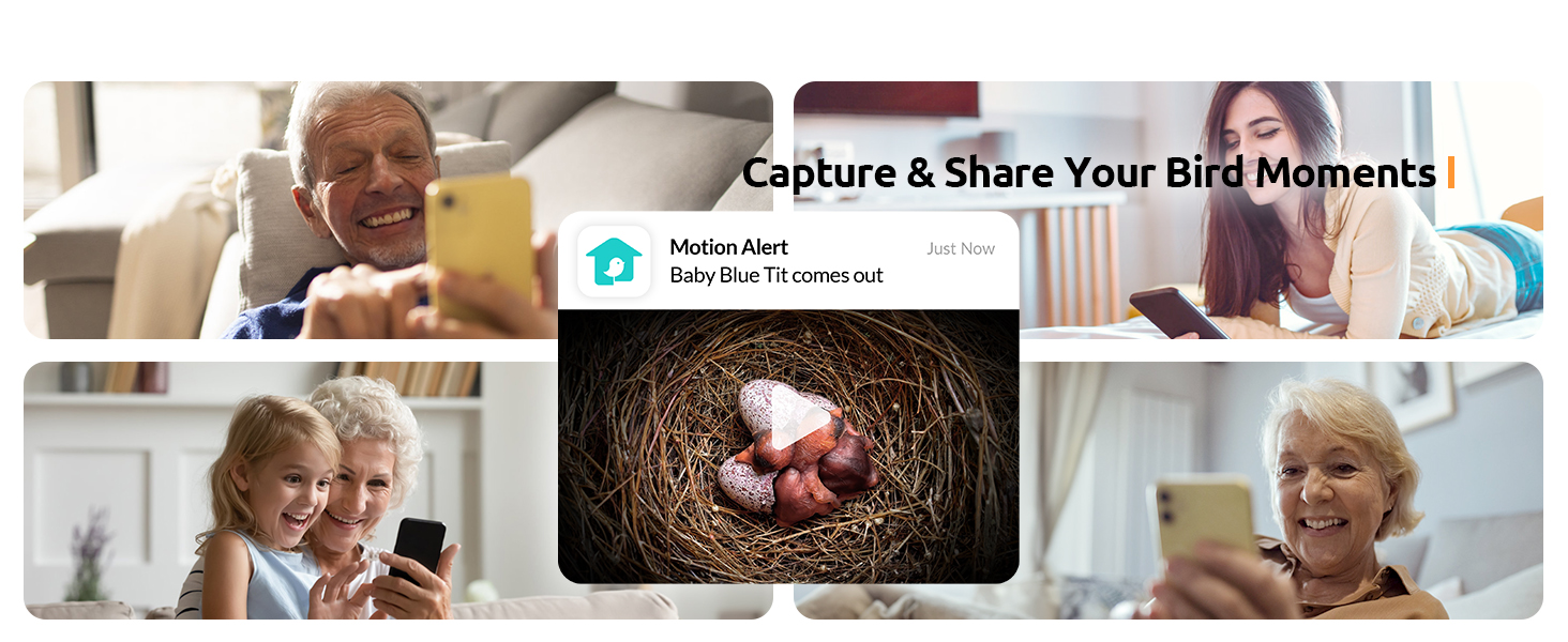 Birdfy Nest -Smart Bird House with Dual Cameras