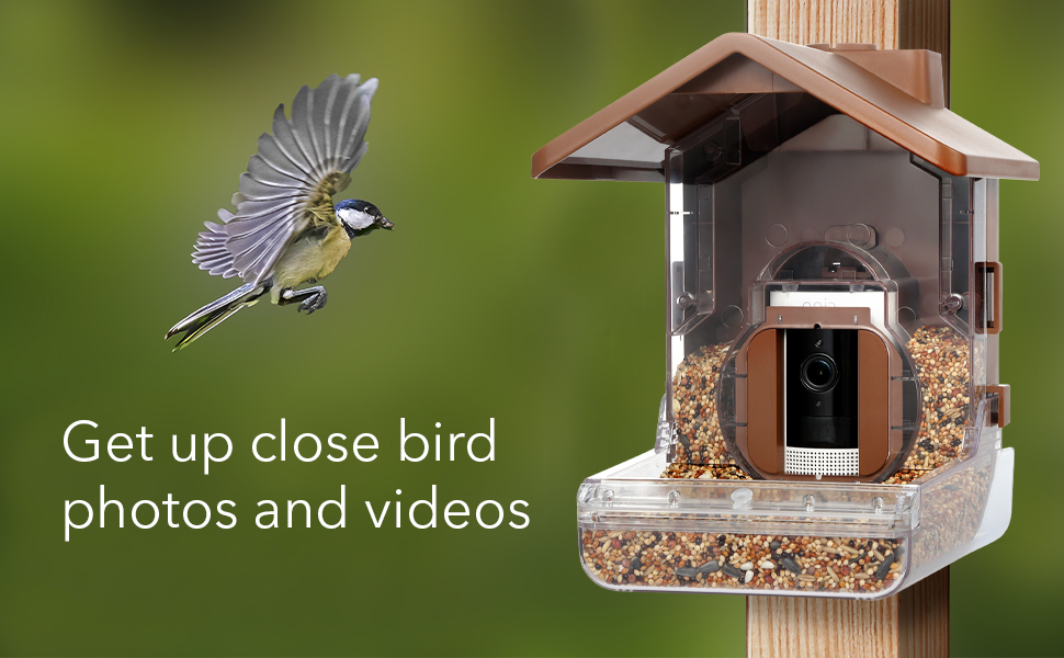 Wasserstein Bird Feeder Smart Camera Case Compatible with Ring, Blink, and Wyze Cam Bird Feeder