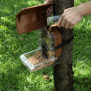 Wasserstein Bird Feeder Smart Camera Case Compatible with Ring, Blink, and Wyze Cam Bird Feeder