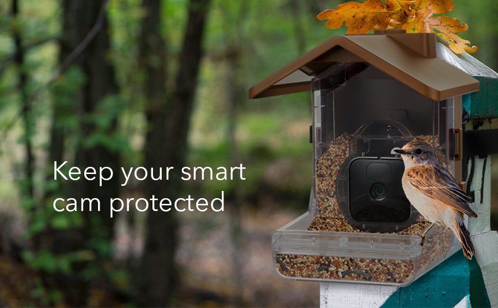 Wasserstein Bird Feeder Smart Camera Case Compatible with Ring, Blink, and Wyze Cam Bird Feeder