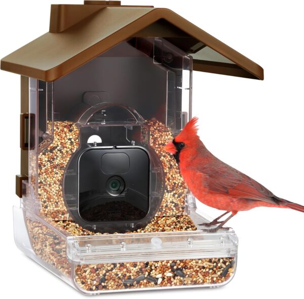 Wasserstein Bird Feeder Camera Case Compatible with Blink, Wyze, and Ring Cam - Bird Feeder for Bird Watching with Your Security Cam - (Camera NOT Included), Brown