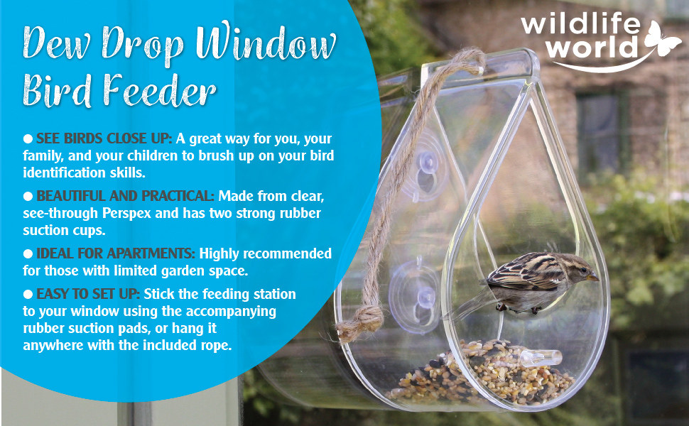 Dew Drop Bird Feeder - Made from clear perspex, comes with rubber suction pads and hanging rope.