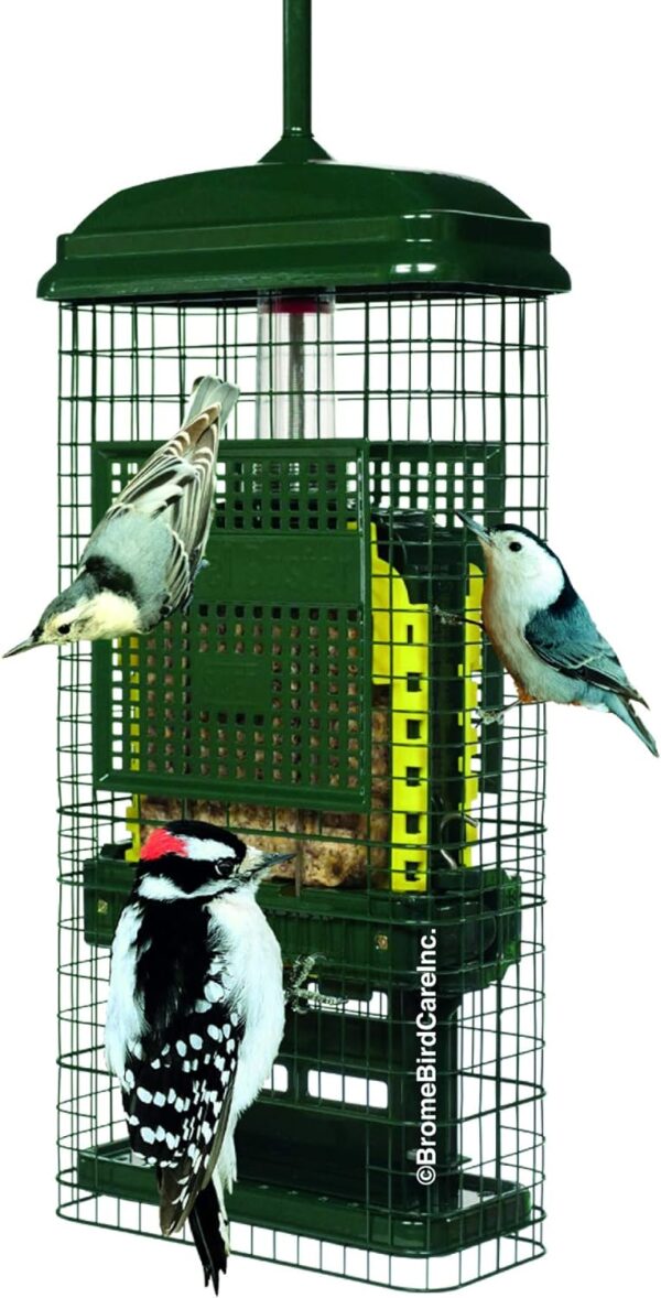 Squirrel Buster Suet Squirrel-proof Suet Bird Feeder w/2 Suet Cake Trays, 2 Crumb Ports, Mess-free Suet Loading,Green