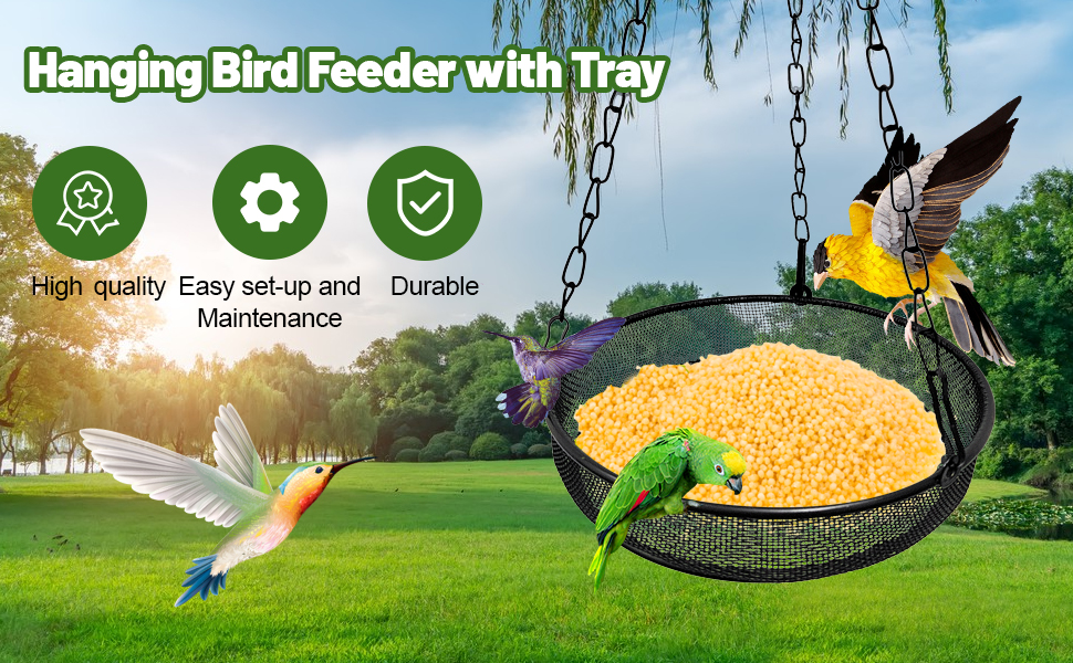 Hanging Bird Feeder with Tray