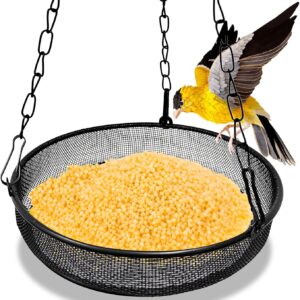 Hanging Bird Feeder with Tray, Metal Bird Feeder Seed Catcher Tray Feeding Dish with Chain for Garden Outdoor Black