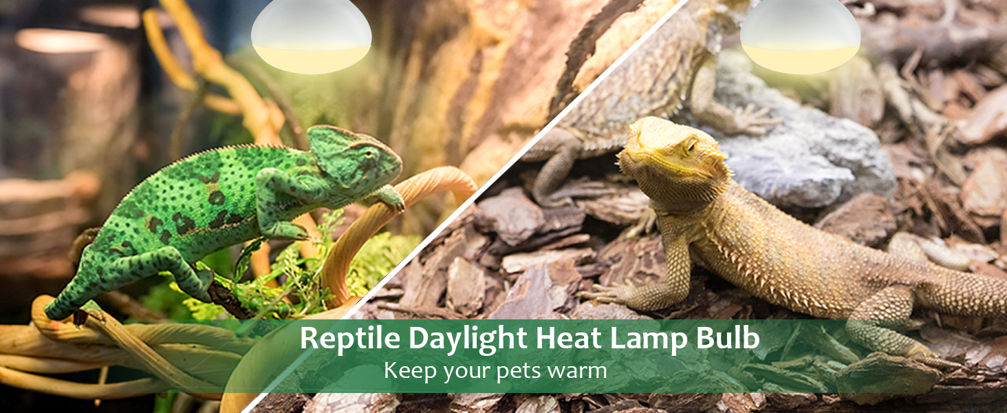 Heat Lighting Lamp  basking bulb Amphibian light  reptile metabolism