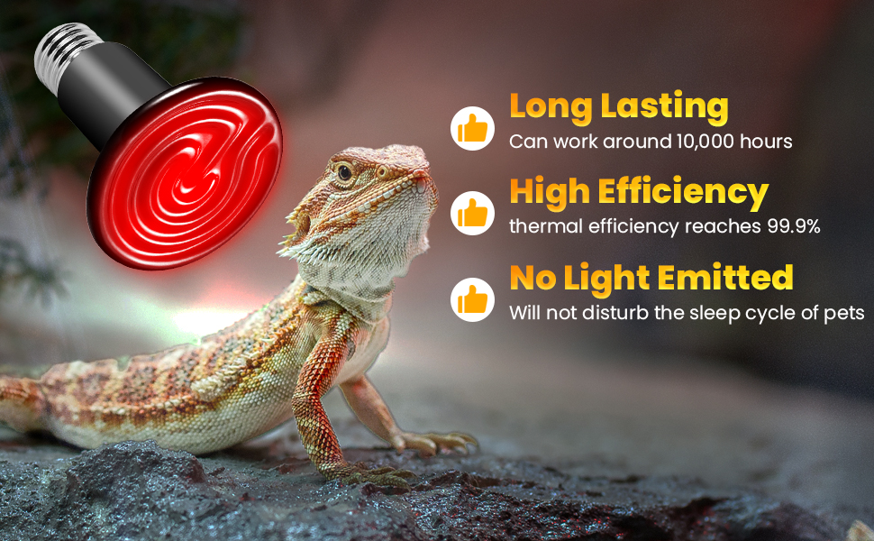 Reptile Heat Lamp Bulb