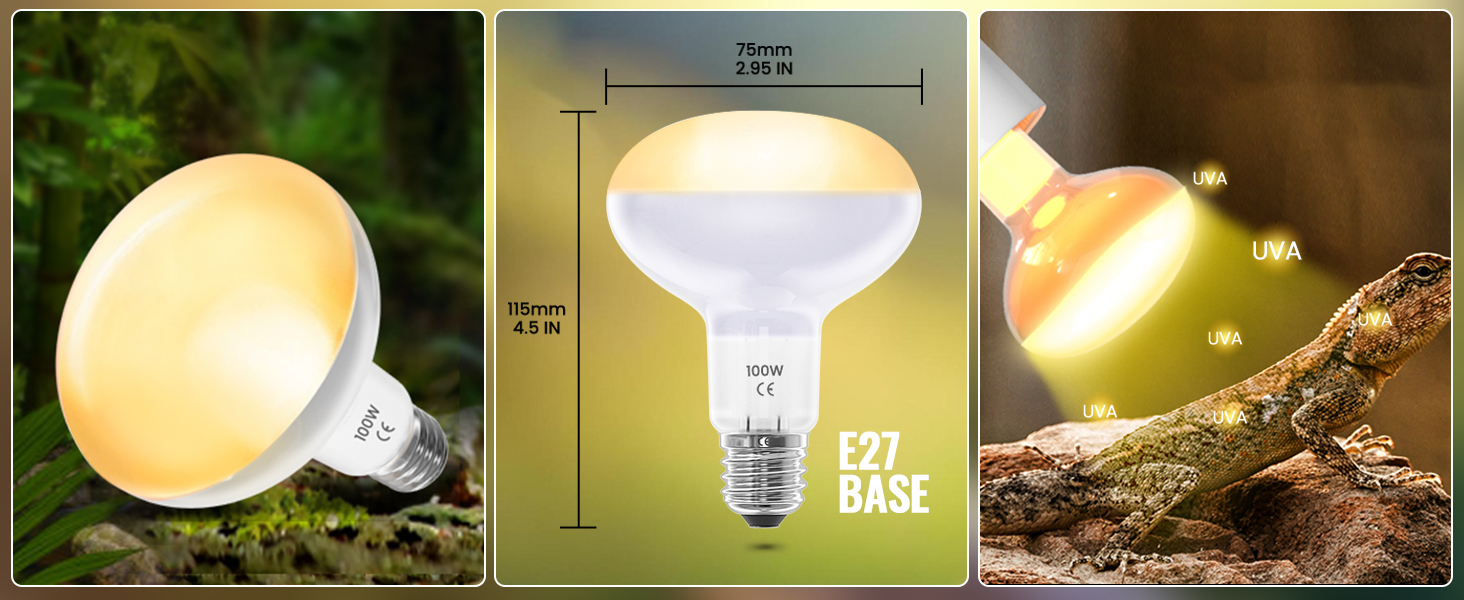 100W Heat Bulb for Reptiles