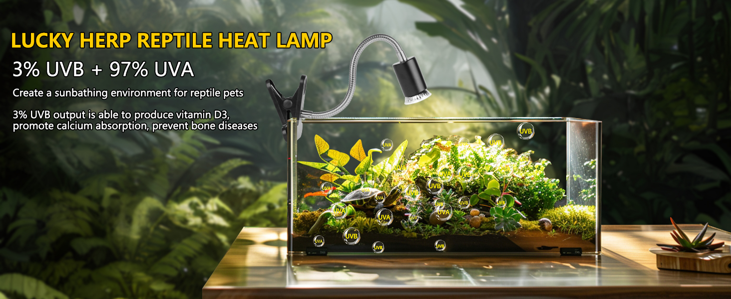 tortoise heat lamp  reptile heat lamp  tortoise light  turtle light  basking lamp  