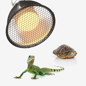 200W E27 Reptile Reflector Dome Lamp Fixture with Clip and BS Plug, Ceramic Reflector Clamp