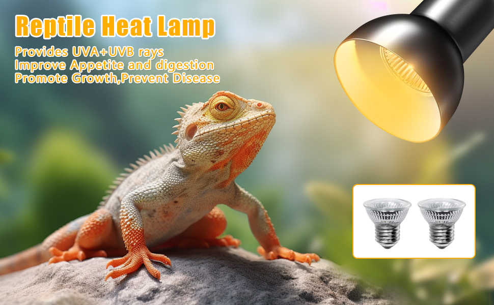 Tortoise Heat Lamp