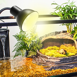 reptile heat lamp