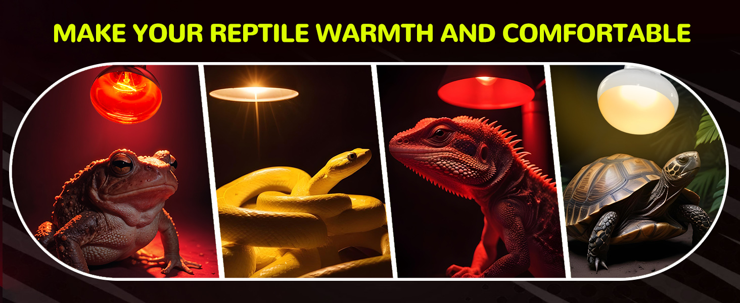 uvb light for reptiles