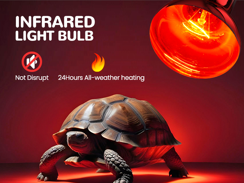 uvb light for reptiles