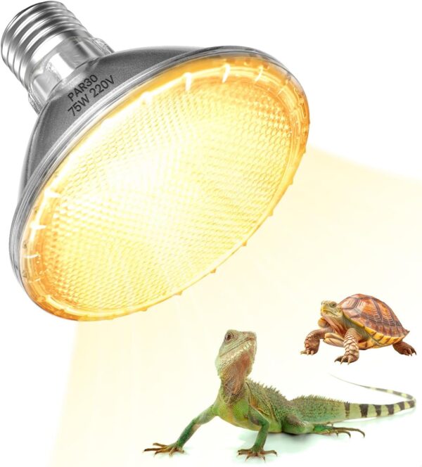 Lamptobe Heat Bulb for Reptiles 75w, PAR30 E27 Reptile Heat Lamp Bulb, Dimmable Basking Bulb for Tortoise, Bearded Dragon, Chick