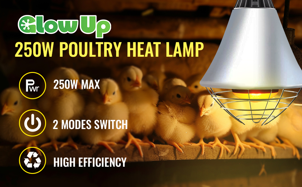 250W Poultry Heat Lamp for Chicks, Infrared Heat Lamp Holder 2 Modes Hign/Low Switch