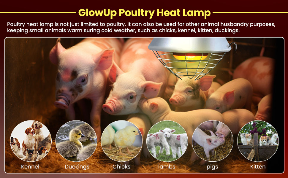 250W Poultry Heat Lamp for Chicks, Infrared Heat Lamp Holder 2 Modes Hign/Low Switch