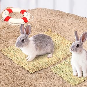 Woven Bed Mat for Rabbits - Grass Mat