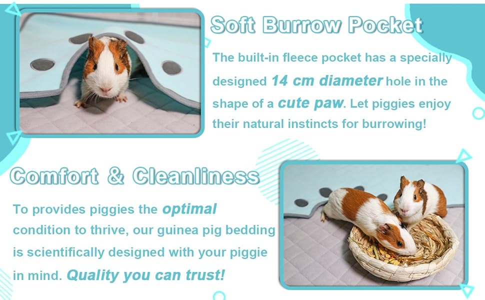 guinea pig house bed