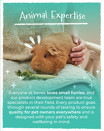 Animal Expertise - Interactive Banner