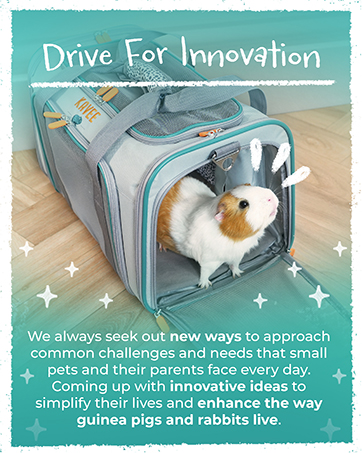 Drive For Innovation - Interactive Banner