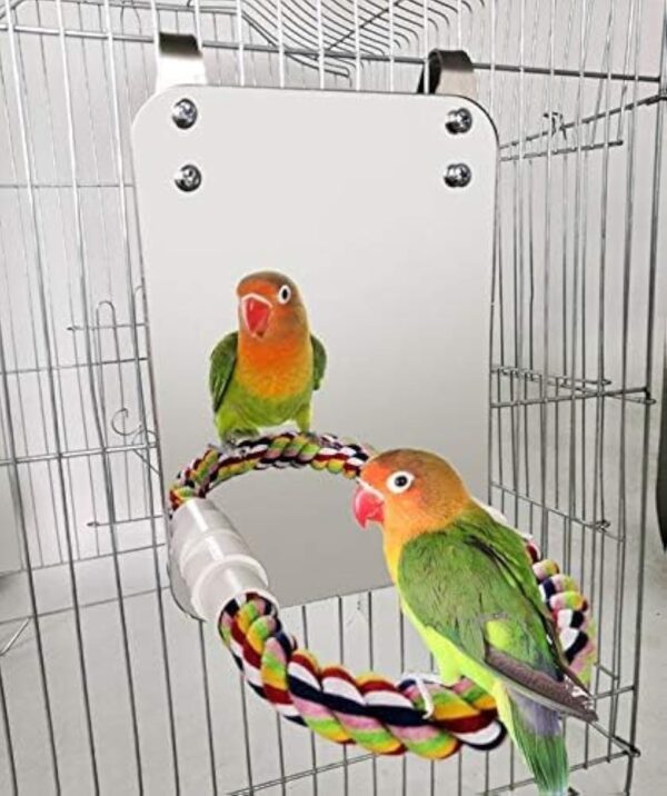 HYLYUN 7 Inch Bird Mirror with Rope Perch Cockatiel Mirror for Cage Bird Toys Swing Parrot Cage Toys for Parakeet Cockatoo Cockatiel Conure Lovebirds Finch Canaries