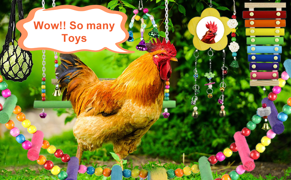 Chicken Toys For Hens