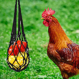 Chicken Toys For Hens