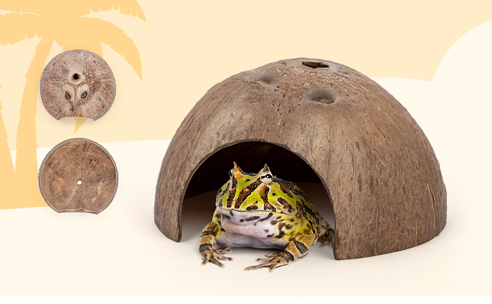 Natural Coconut Hideout - Provides secure hiding place, relieve pressure