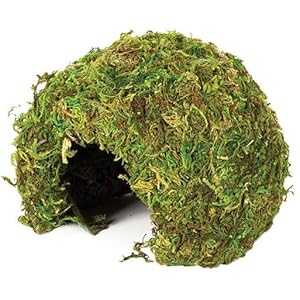 Komodo Small Natural Moss Cave for Reptiles - S