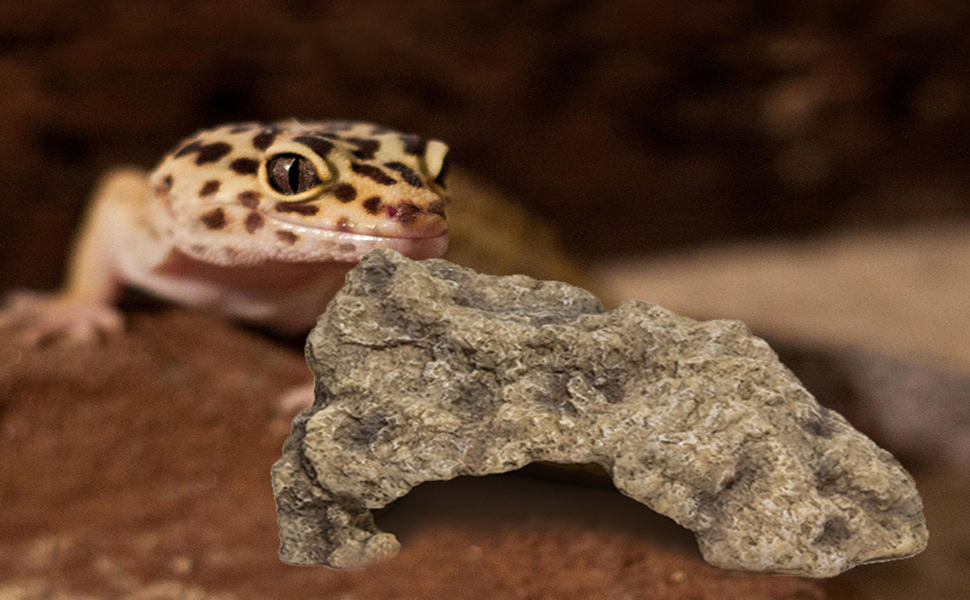 gecko and hide cave