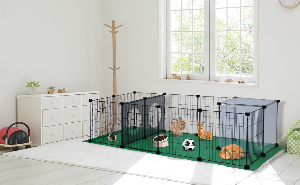 dog cage 