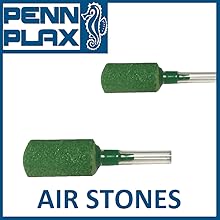 air stones