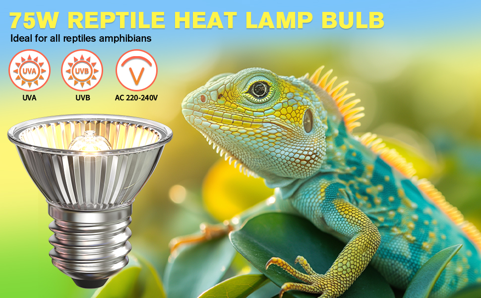 heat bulb for reptiles