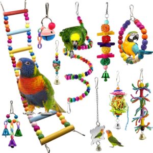 Bojafa Bird Toys For Budgie Parrot Toy - 10 Pack Hanging Budgies Play Stand Perch For Cage Natural Wooden Birds Swing Ladder Large Cockatiel Toy Accessories For African Grey Parrots Conure Parakeet