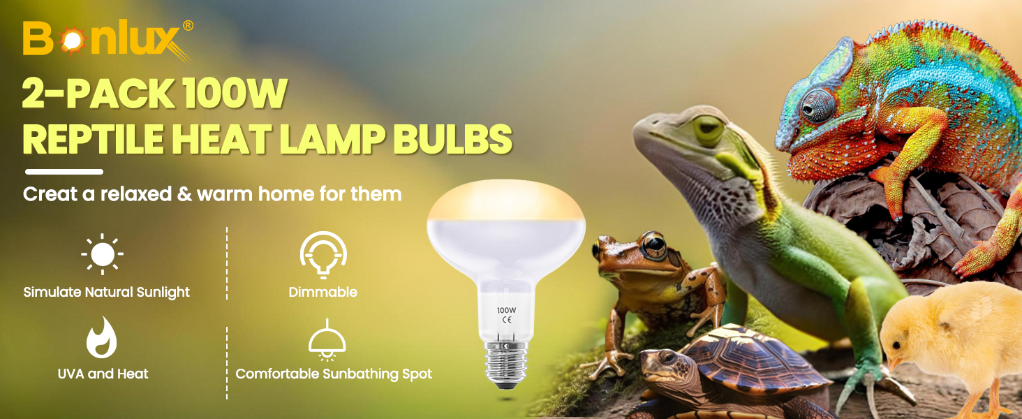 100W Heat Bulb for Reptiles