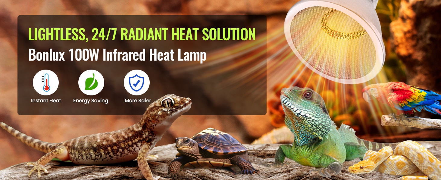 Heat Bulb for Reptiles