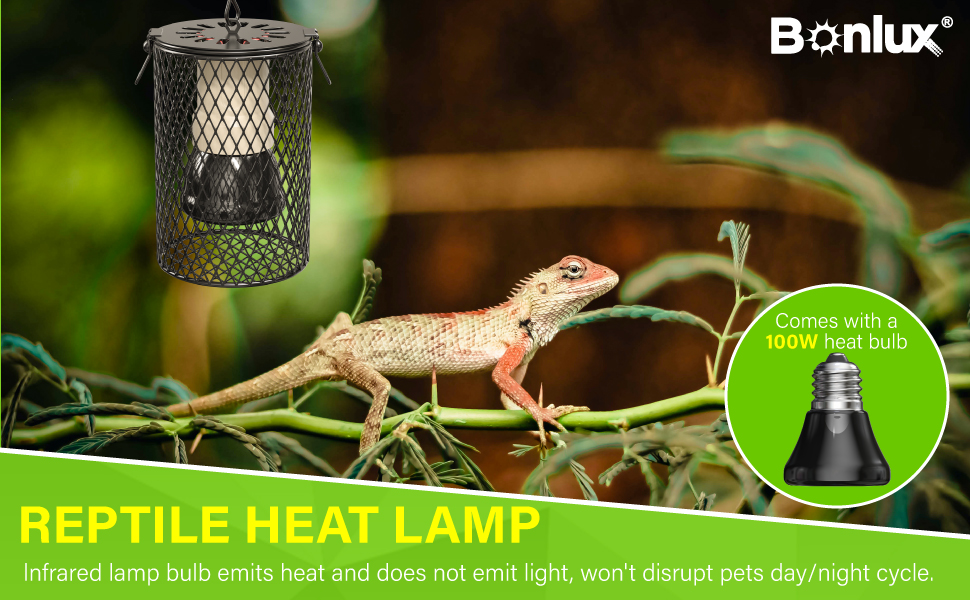 heat lamp for reptiles