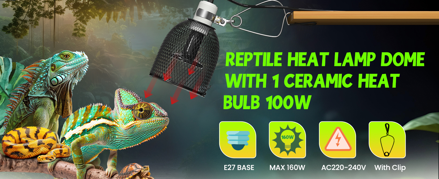 reptile heat lamp dome