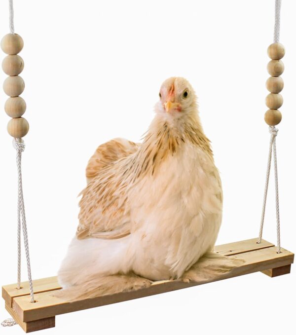 Chicken Swing Toy for Coop Handmade in USA!!! Natural Safe Wooden Accessories Large Durable Perch Ladder for Poultry Run Rooster Hens Chicks Pet Parrots Macaw Entertainment Stress Relief for Birds