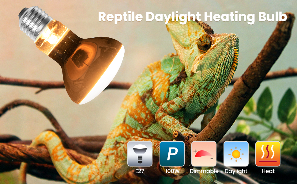 reptile heating bulb