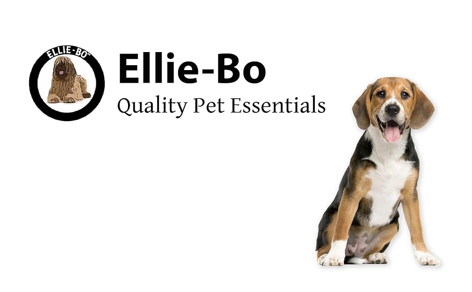 dog, cage, crate, dog bed, puppy, training, ellie-bo, ellie bo