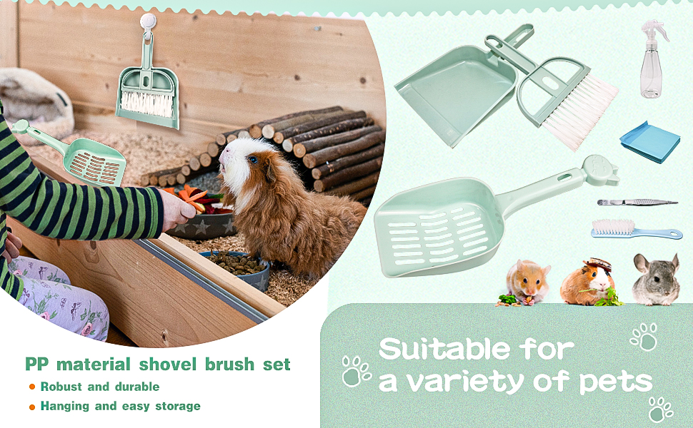 Mini Dustpan and Brush Set