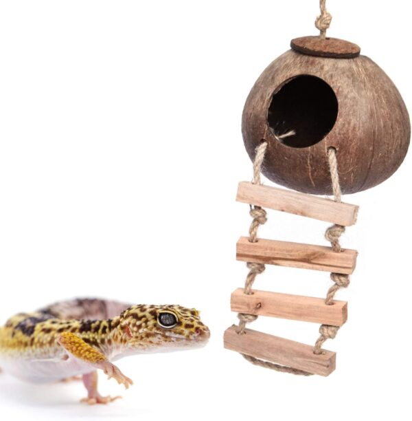 Gecko Coconut Husk Hut, Bird Hut Nesting House Hideouts with Ladder, Coco Texture Provide Food, Durable Cave Habitat with Hanging Loop for Leopard Gecko, Reptiles, Amphibians and Small Animals