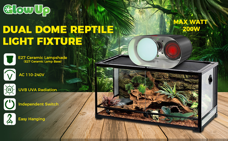 Reptile Heat Lamp Reptile Heat Lamp Fixture reptile light fixtures