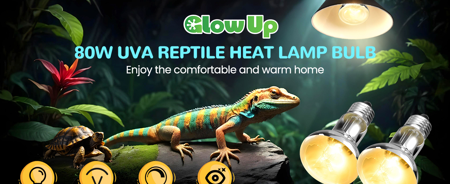 80W Heat Bulb for Reptiles